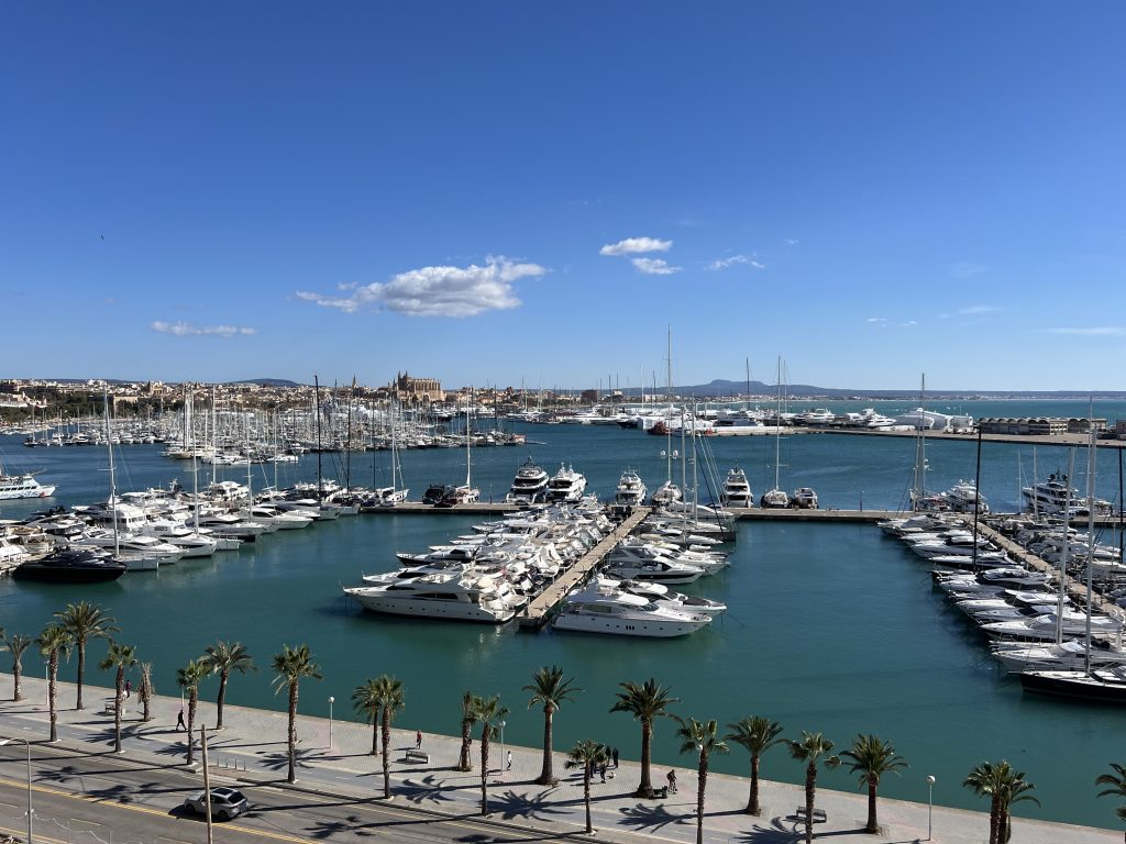 New Year, New Projects – Our 2024 Season Kickoff in Mallorca