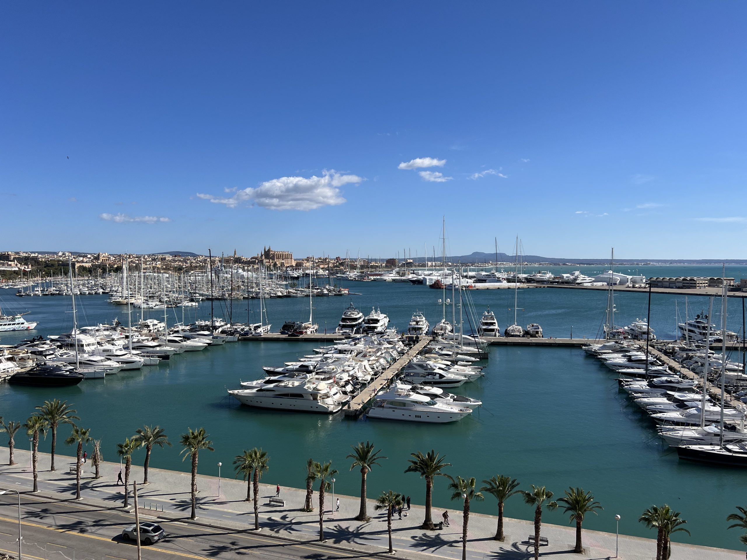 New Year, New Projects – Our 2024 Season Kickoff in Mallorca