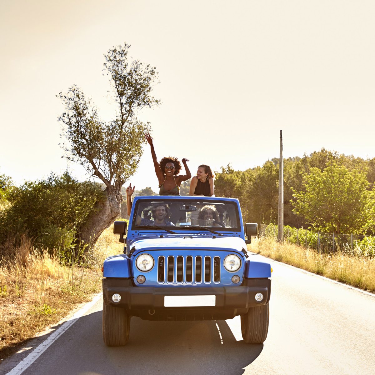 Logistics & Coordination